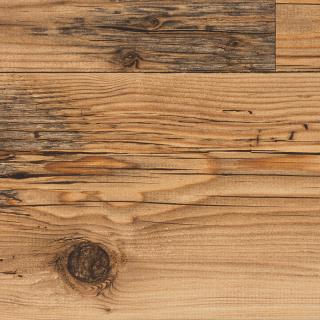 Alpine Oak